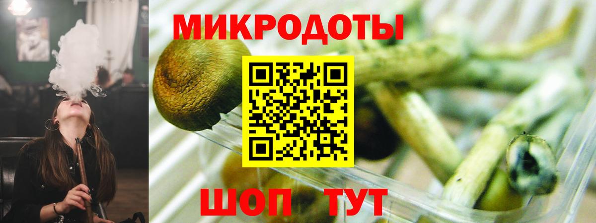 Псилоцибиновые грибы Psilocybe Беслан